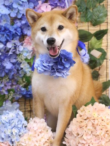 20250629シュウくん